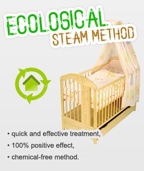 Ecological Steam Method: quick and effective treatment , 100% positive effect, chemical-free method.